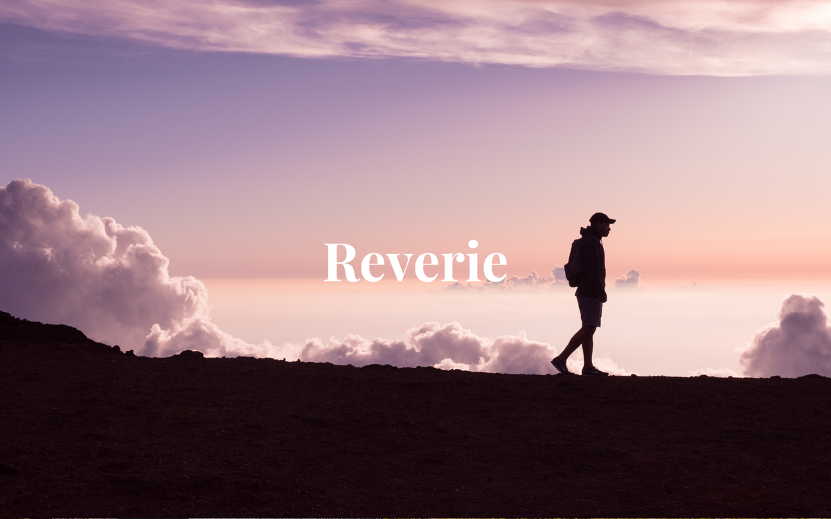 About the Reverie Blog